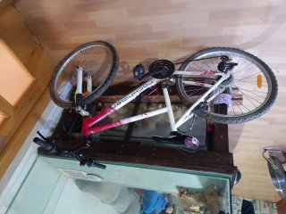 Bicicleta Rochider