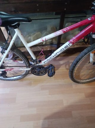 Bicicleta Rochider