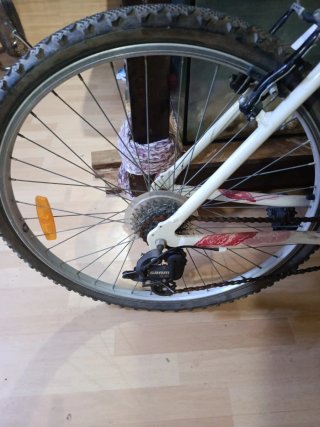 Bicicleta Rochider