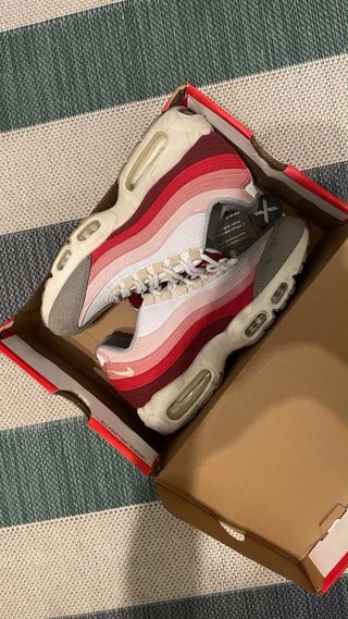 Nike Air Max 95 Anatomy of Air