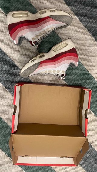 Nike Air Max 95 Anatomy of Air