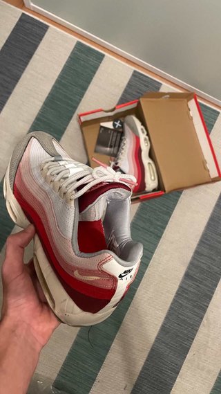 Nike Air Max 95 Anatomy of Air