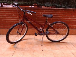 Bicicleta de Montaña