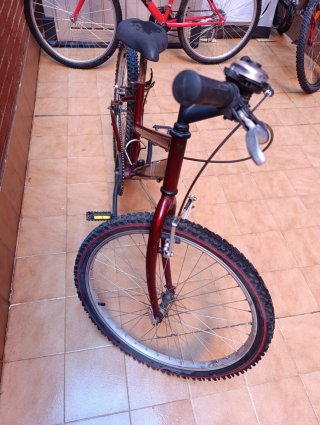 Bicicleta de Montaña
