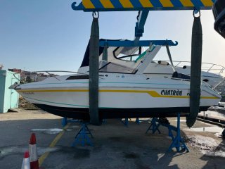 Faeton 600 + Suzuki DF175 4T
