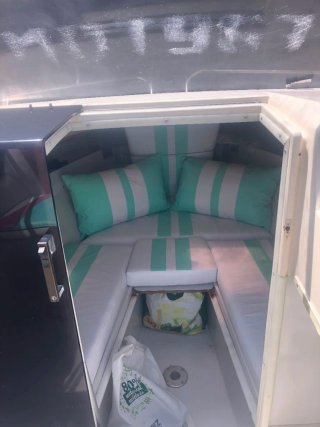 Faeton 600 + Suzuki DF175 4T