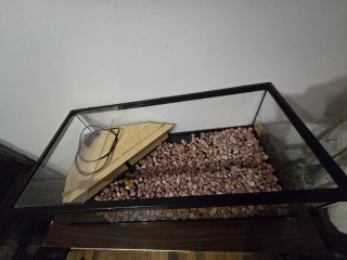 Terrario/Acuario Tortugas Negro