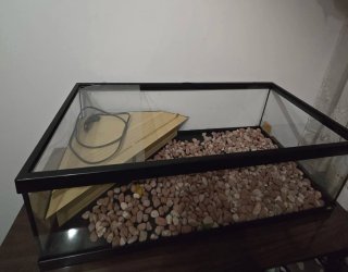Terrario/Acuario Tortugas Negro