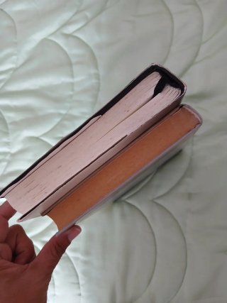 Lote libros