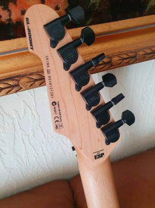 Solo Venta! LTD GL-200MT Graphic Tiger Guitarra E