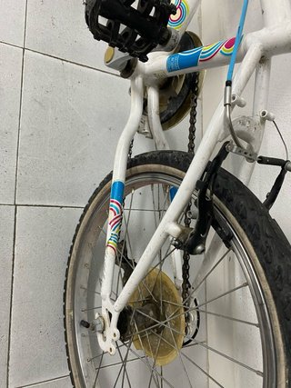 2 Bicicletas infantiles 20 pulgadas