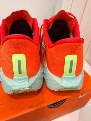 Zapatillas Nike Pegasus Plus Talla 41
