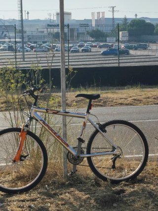 Bicicleta Montaña Rin 26