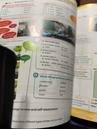 Libro de inglés 5 primaria