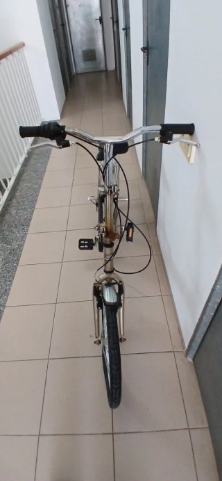 Bicicleta Paseo Plegable