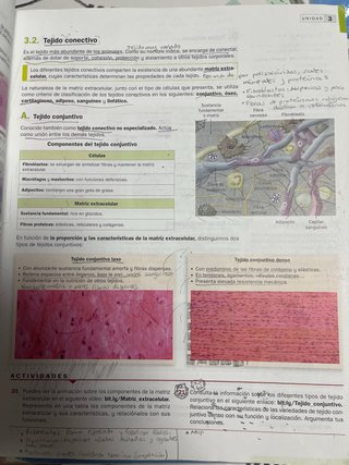 Libro 1º Bachillerato Biologia Mc Graw Hill
