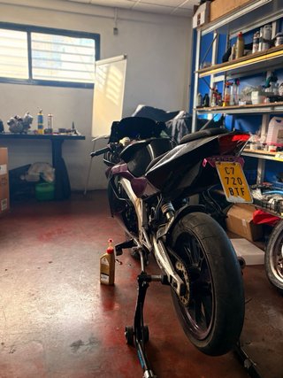 Derbi GPR Deportiva Morada y Negra