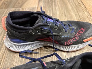 Zapatillas Nike Trail Gore-Tex Talla 39