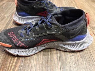 Zapatillas Nike Trail Gore-Tex Talla 39
