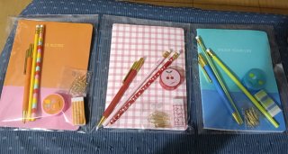 Lote material escolar: libretas, bolis, lápices