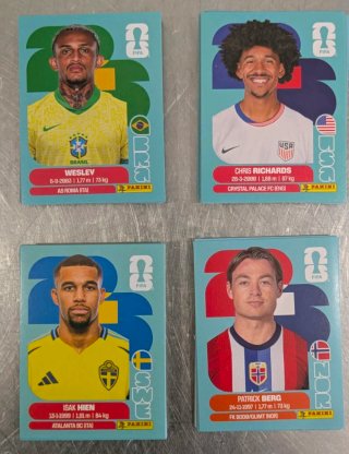 Lote 50 cromos Panini Mundial sin repetidos