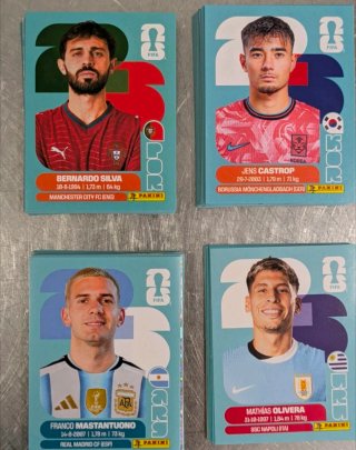 Lote 50 cromos Panini Mundial sin repetidos