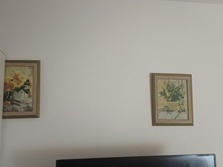 Conjunto de varios cuadros decorativos