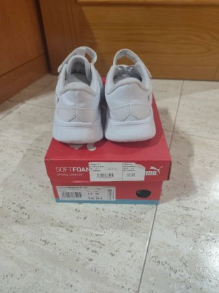 Lote Zapatillas Converse, Skechers y Puma.