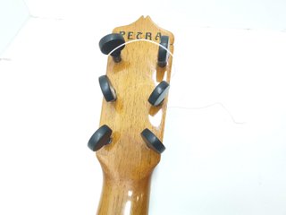 E61816-0 GUITARRA CLASICA MIGUEL MOLERO PETRA