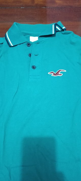 Polo Hollister Verde