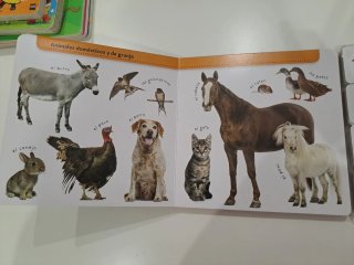 Mi libro memo LA GRANJA incluye juego de memoria