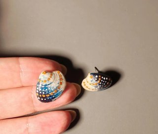 Orecchini conchiglie dipinte