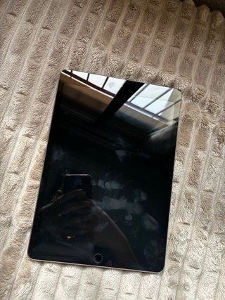 Apple iPad Gris Espacial