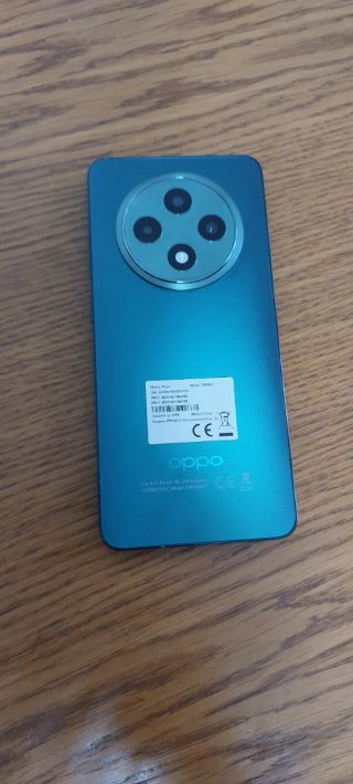 Oppo Reno12 FS 5G
