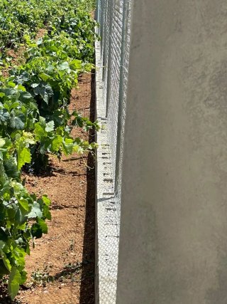 Se vende parcela segregada