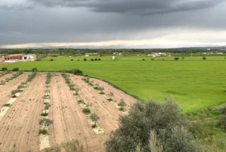 Finca de regadío en Toledo - 105 ha