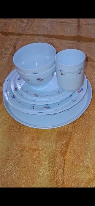13 Piezas vajilla Harmonia Argal en vidrio opalina