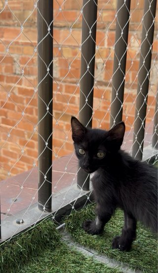Redes de seguridad para balcones y ventanas