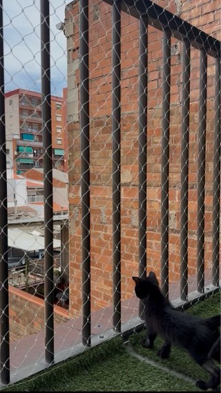 Redes de seguridad para balcones y ventanas