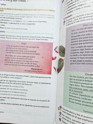 Lengua castellana y literatura 2o ESO