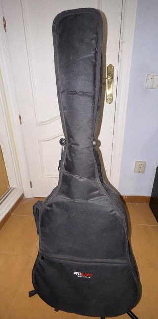 Guitarra Acústica SX