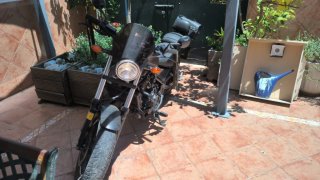 Honda Rebel 500 cc gris