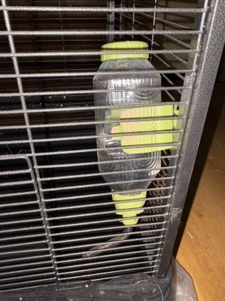 CASITA PARA CHINCHILLAS NUEVA PRÁCTICAMENTE 6MESES