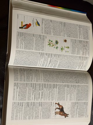 Diccionario Enciclopédico El Pequeño Larousse