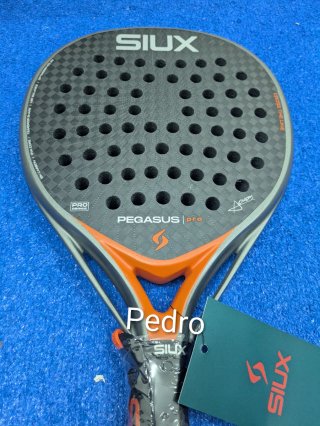 Siux Pegasus Pro 2026