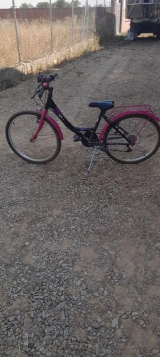Bicicleta Paseo Niña Rosa
