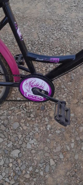 Bicicleta Paseo Niña Rosa