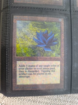 Lote Cartas Mox + Regalo