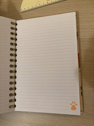 Libretas Chasing Lola gatos