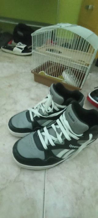 Lote de zapatillas deportivas
